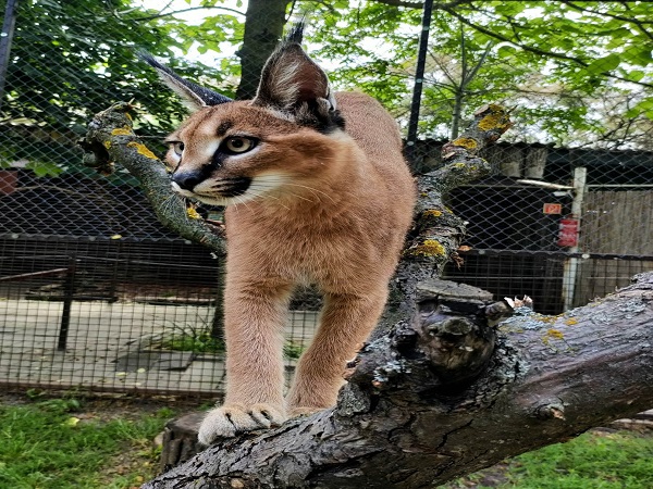 Hosszú évek óta vágytunk Rád, és most végre megérkeztél