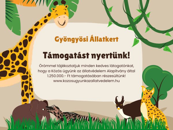Támogatást nyertünk!