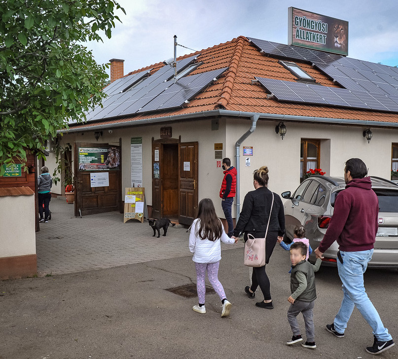 Gyöngyösi állatkert pénztár